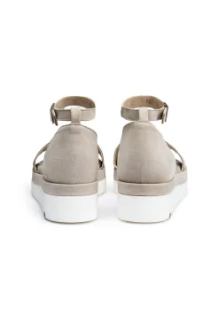 LLOYD 14-505-16 Dame Sandal