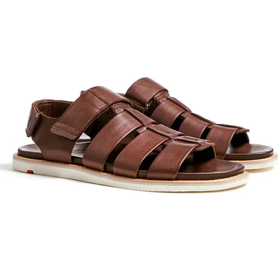 LLOYD ELIMAR Herre Sandal